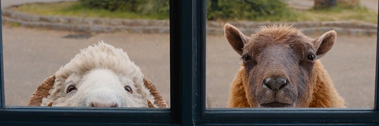 MariSook_'s profile banner image