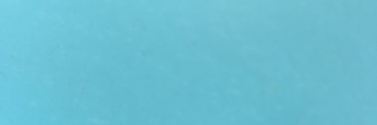 Kyle_alligator's profile banner image
