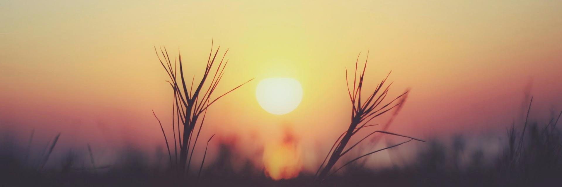 Po_rao's profile banner image