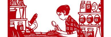 vltsepira's profile banner image