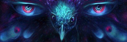 XquisiteLiving's profile banner image