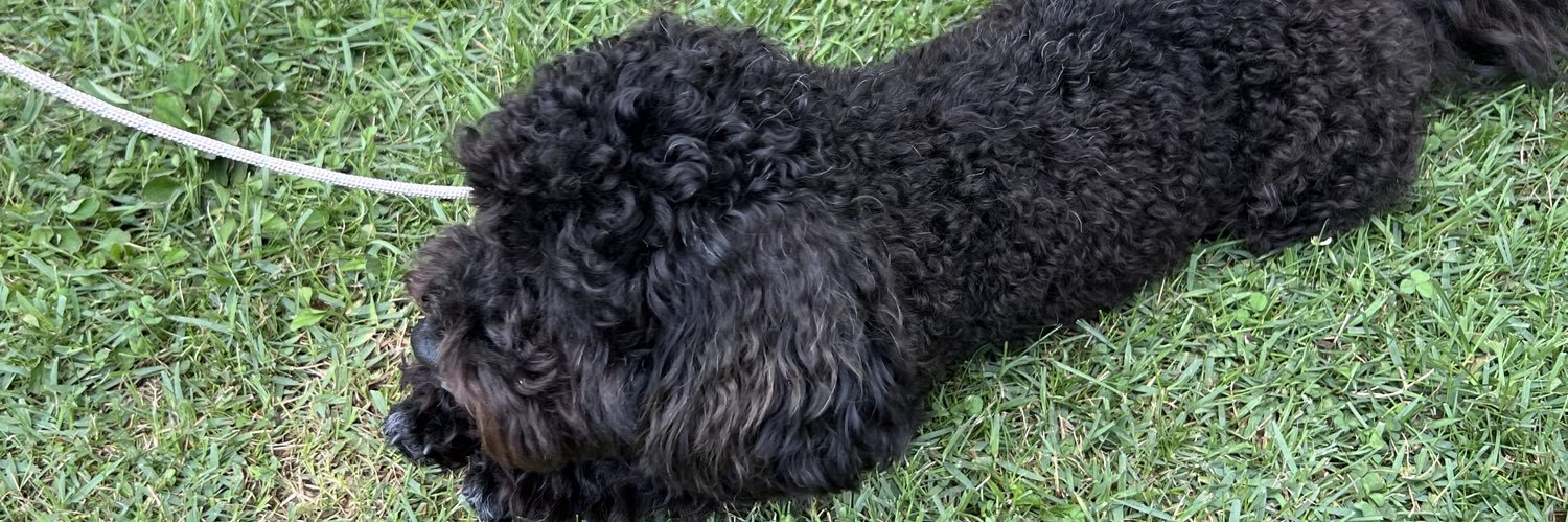 ૮しなもん🍒ა banner