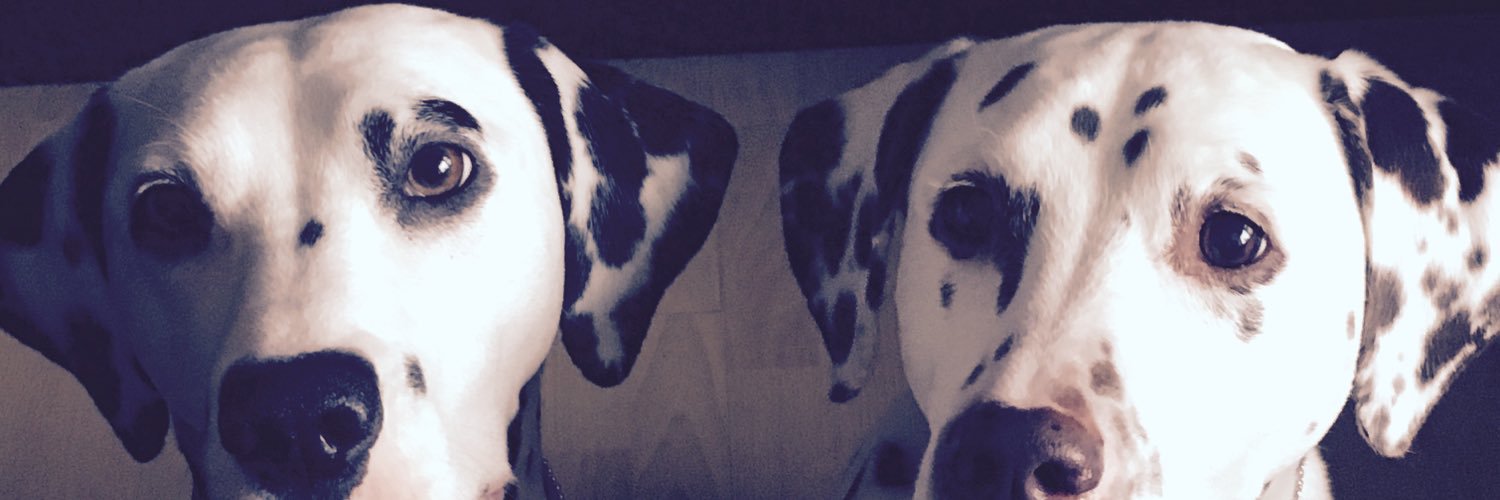 Aleisha Ritchie banner