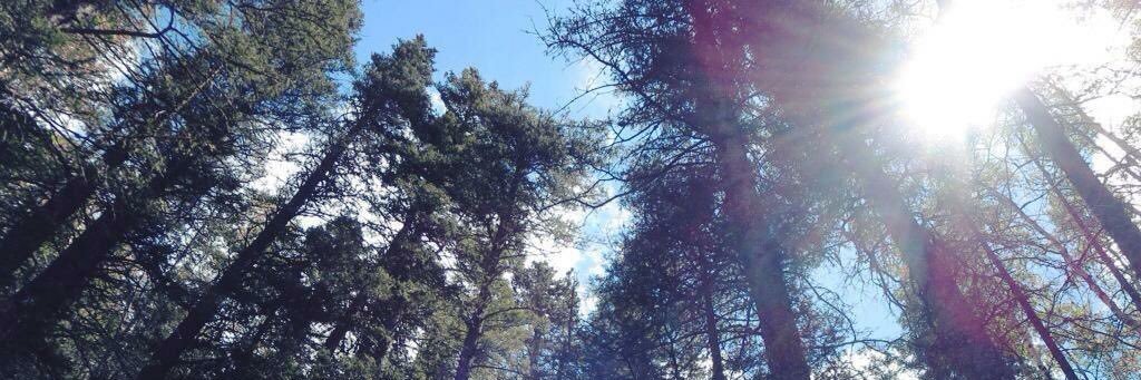 rooooooobz's profile banner image