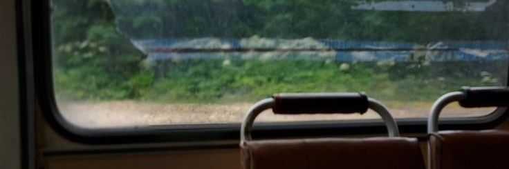 _bloomingMay_'s profile banner image