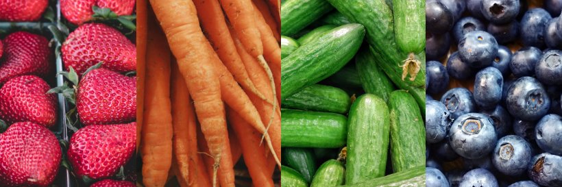 Nosh Detox banner