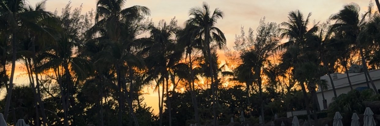 Not_Y0urBae's profile banner image