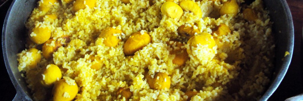 SlowFoodCerrado's profile banner image