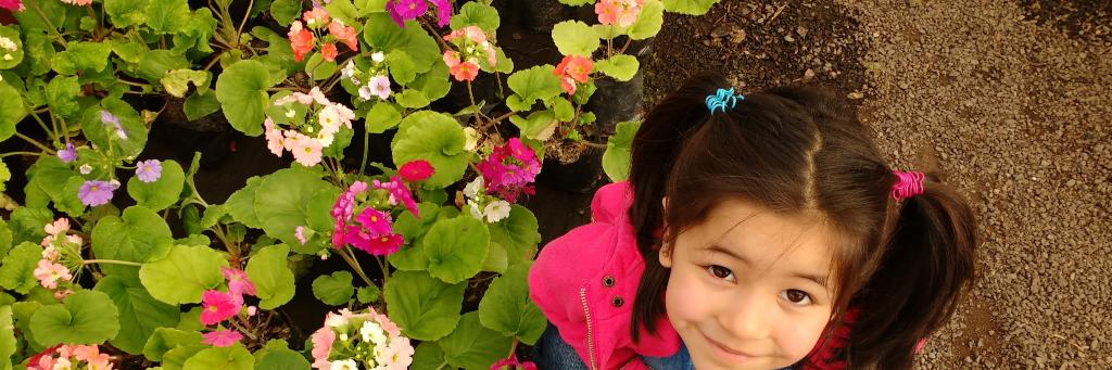 Deliascl's profile banner image