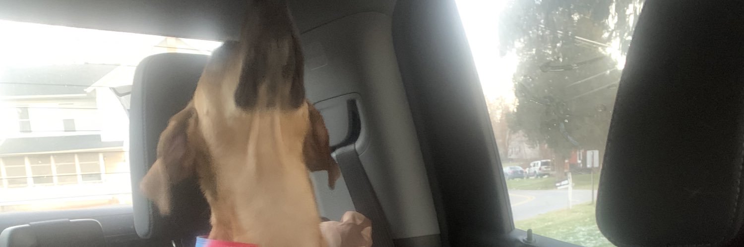 B___________W's profile banner image