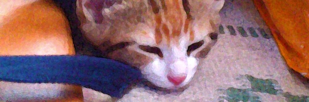 fquffio's profile banner image