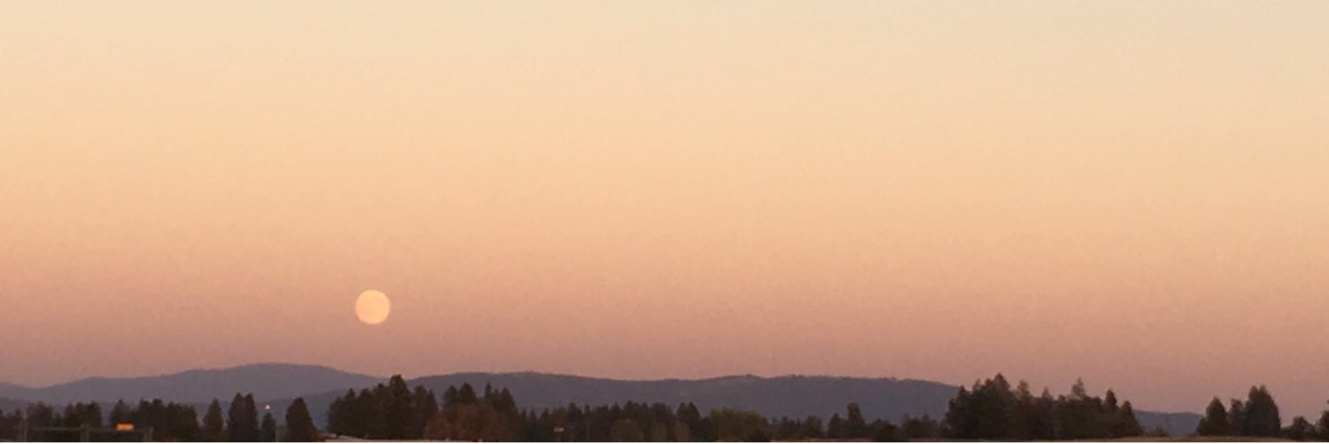 melgarth_'s profile banner image
