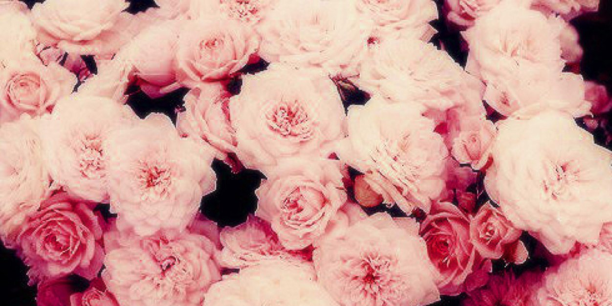 gracepresso's profile banner image