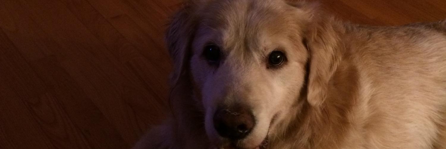 Natey_10's profile banner image