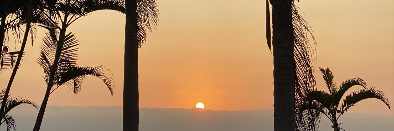 NatiMardones's profile banner image