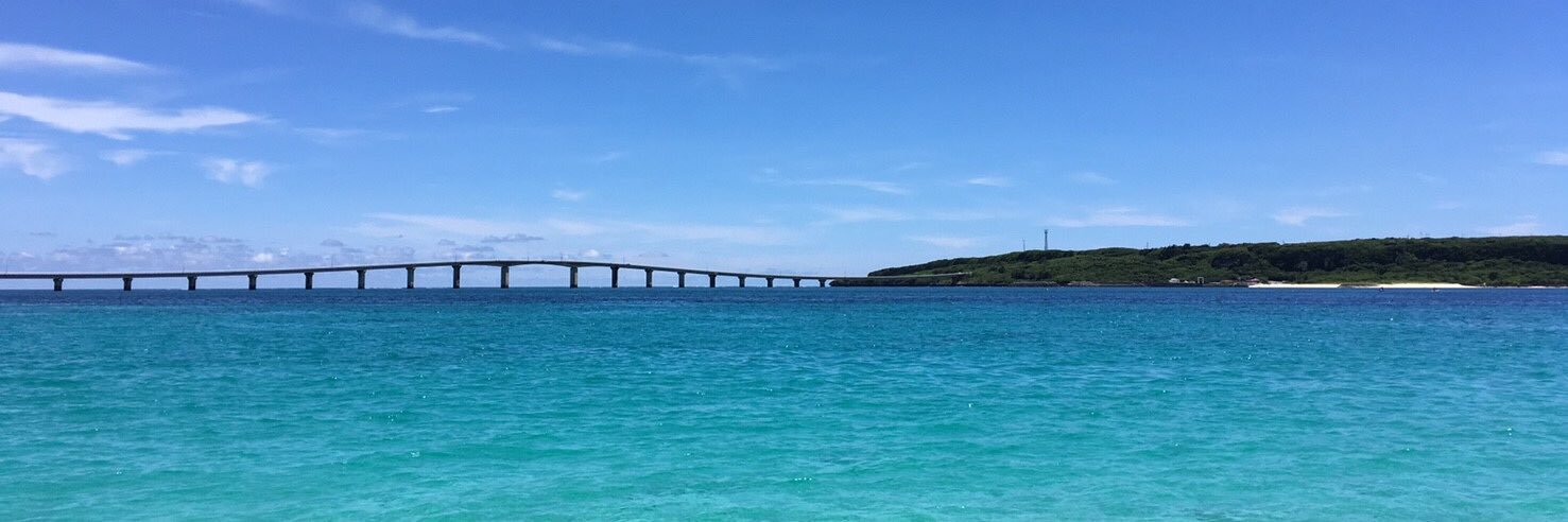 しろちゃん banner