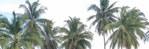 anggiapriyana's profile banner image