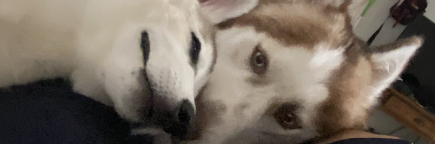 Pebblee_Lee's profile banner image