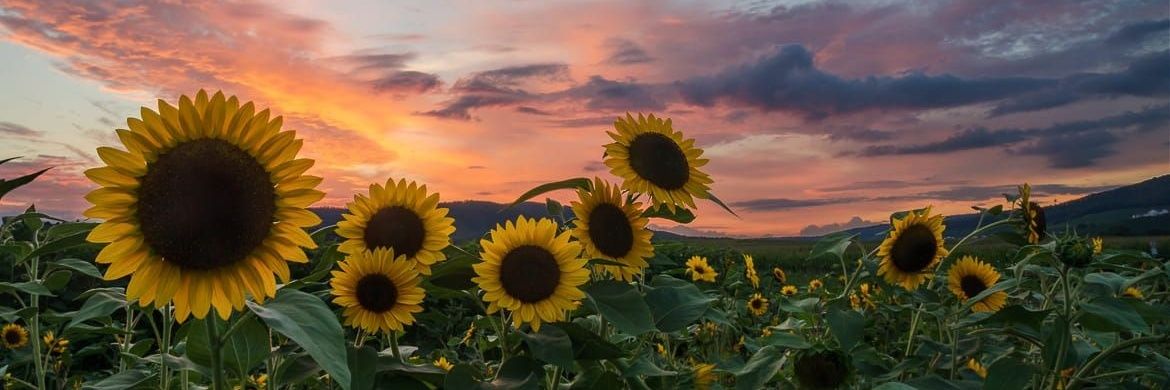 BakerAnn14's profile banner image