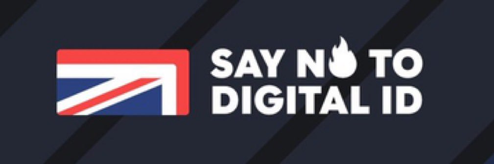 DottiMillotti banner