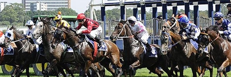 Elite Racing Services banner