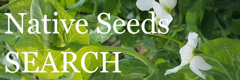 Native Seeds/SEARCH banner