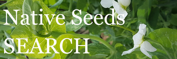 NativeSeedsSRCH Profile Banner