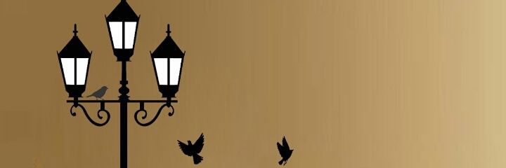 marinalfnv3's profile banner image