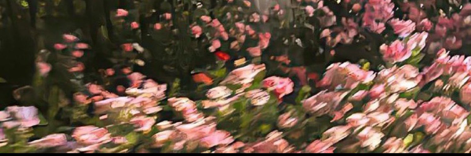 msiix9's profile banner image