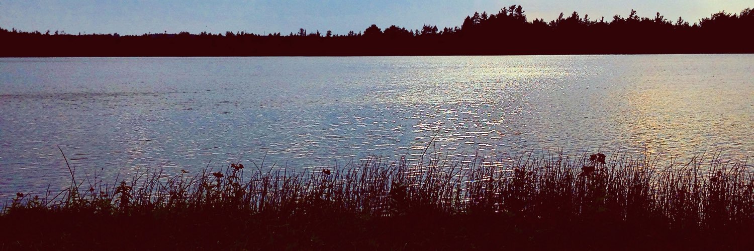 MrsLakeshore13's profile banner image