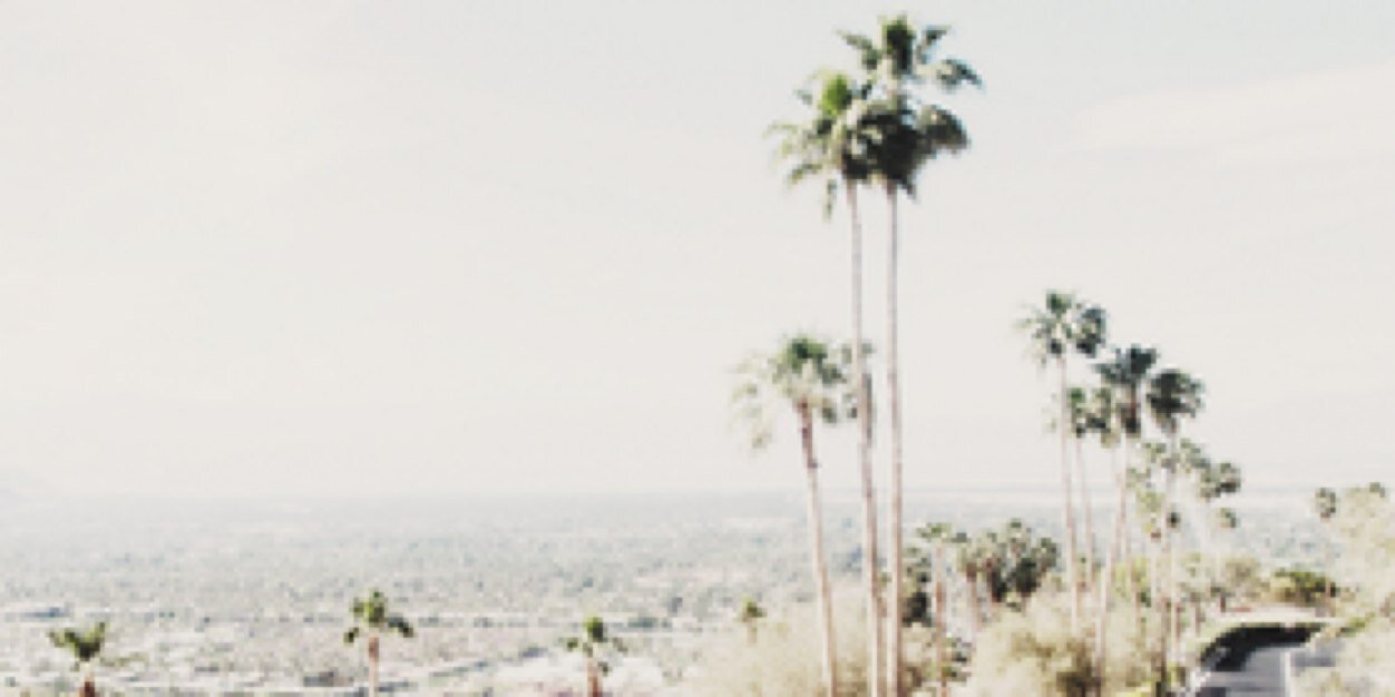 TumbIrLibrary's profile banner image