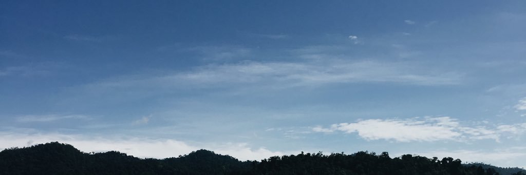 49.5X banner