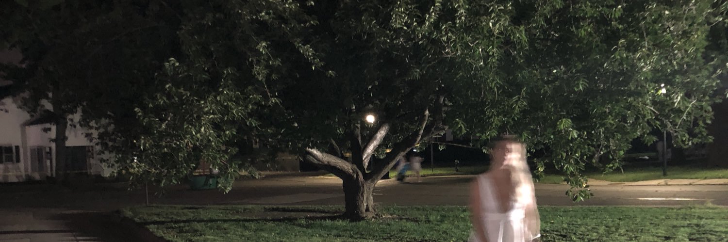 thekidturtle's profile banner image
