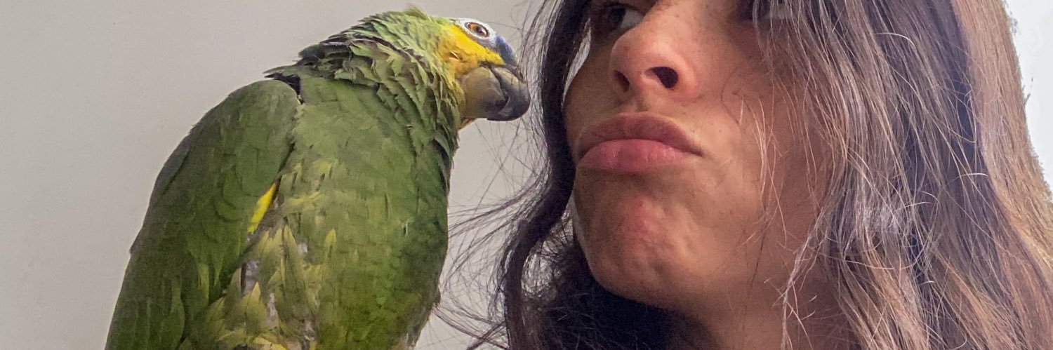 caseyrebecc's profile banner image