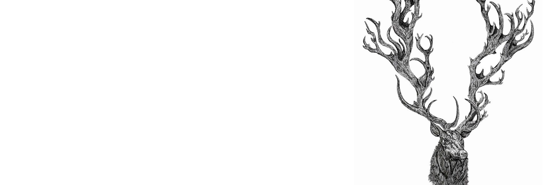IsidroBlas69's profile banner image
