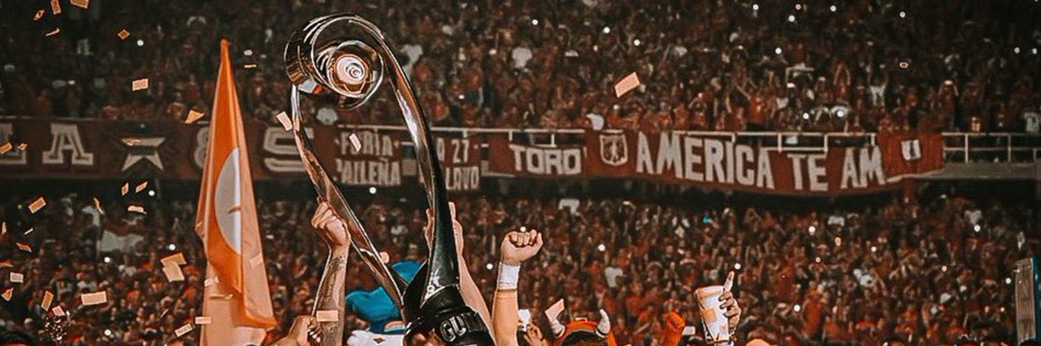 Montealegre banner