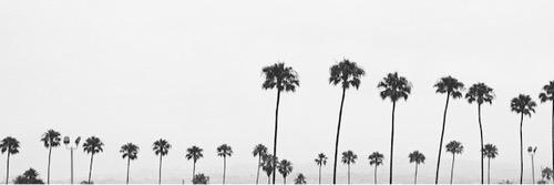 PIMMEZ's profile banner image