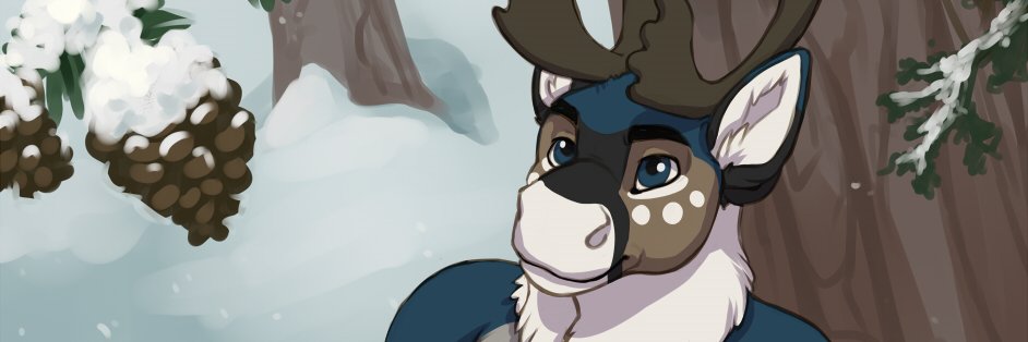 Denali banner