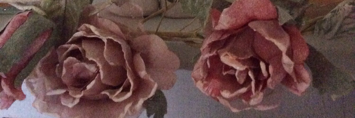 teresabray's profile banner image