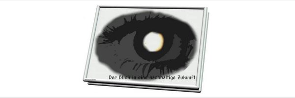 D.E.U.S. - Consulting GmbH | Walter Schiefer Profile Banner
