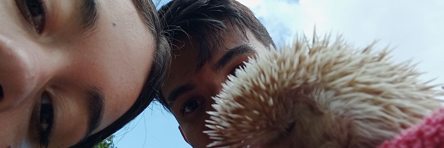 IslaDelMar1D's profile banner image