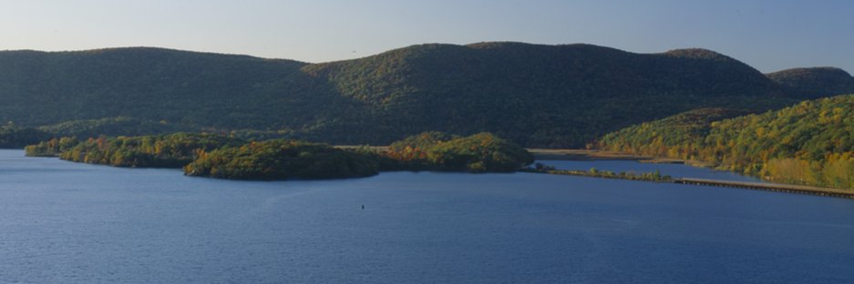 ConstanceEmmett's profile banner image