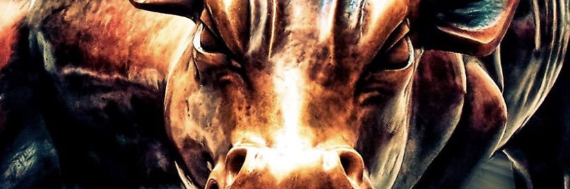 tailored_trader's profile banner image