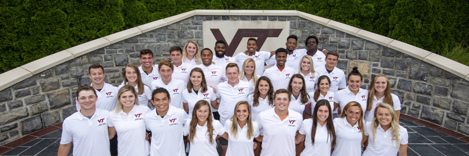 VT SAAC banner
