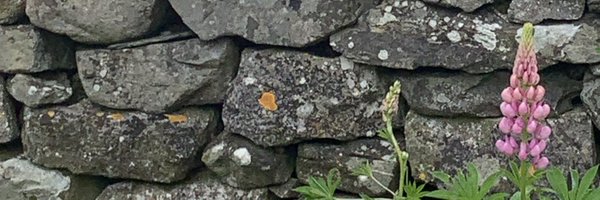 getloggedin Profile Banner