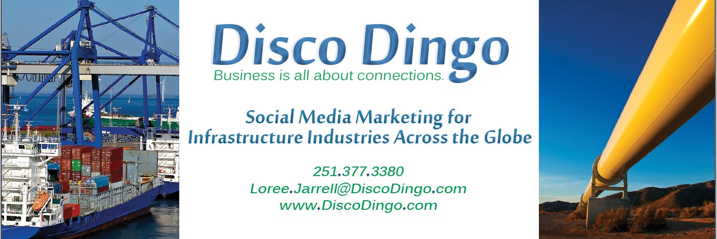 DiscoDingoLLC's profile banner image