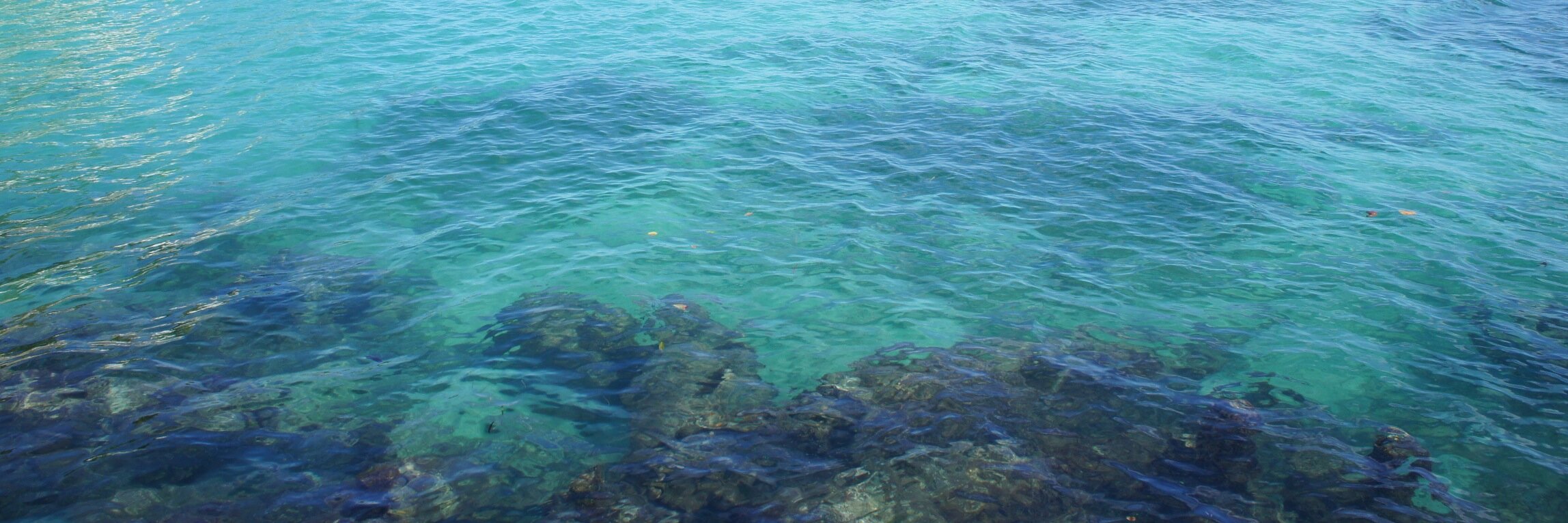 wjlaughlin's profile banner image