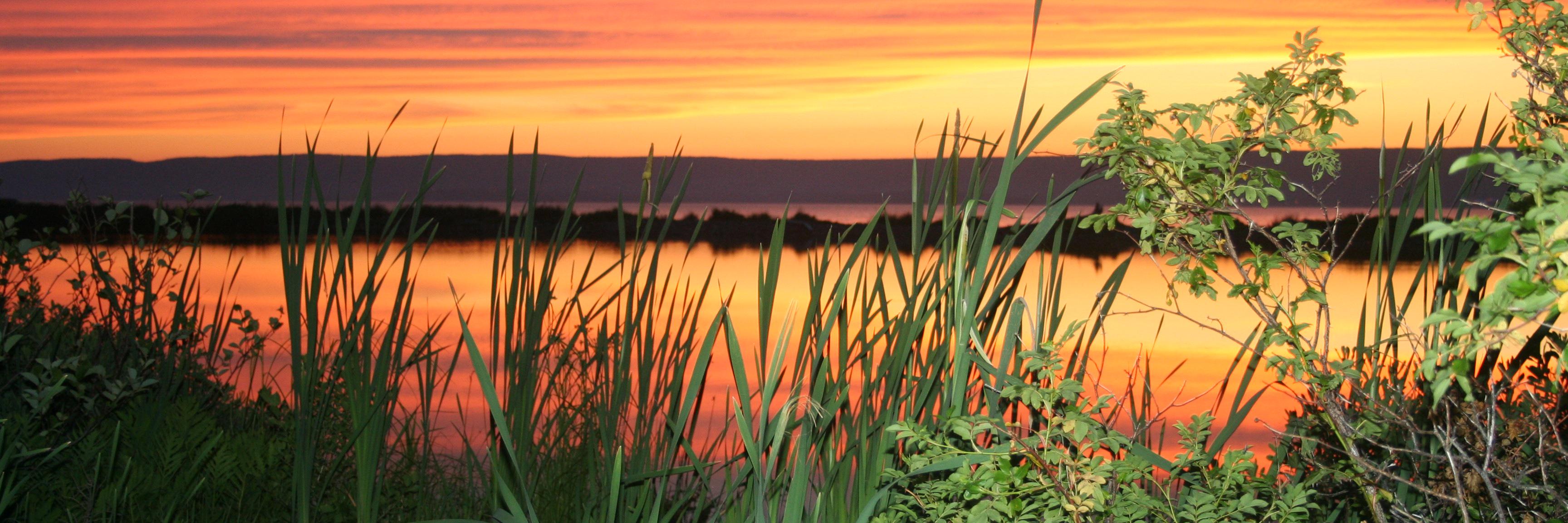 lakesdreamer's profile banner image