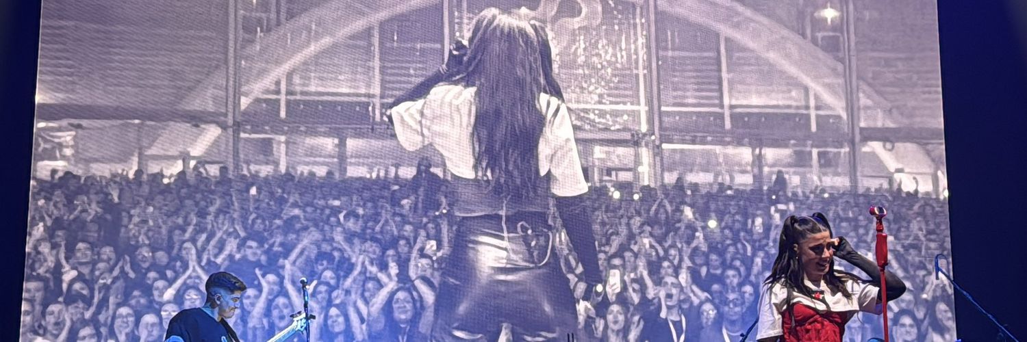 Ro🦁🧨 banner
