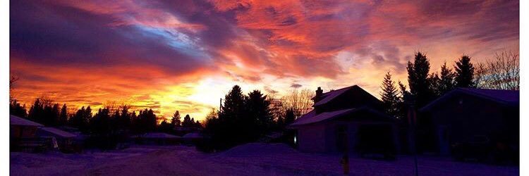 mitchellrandi's profile banner image